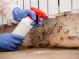 Best Crawl Space Mold Remediation  in Assumption, IL